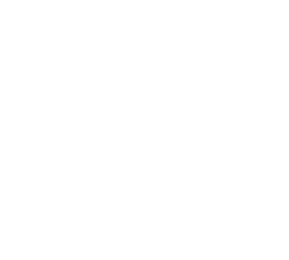 公司治理